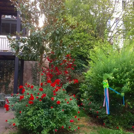 Daire Schiller, 2 Cote Jardin - Quartier Orangerie Strazburg